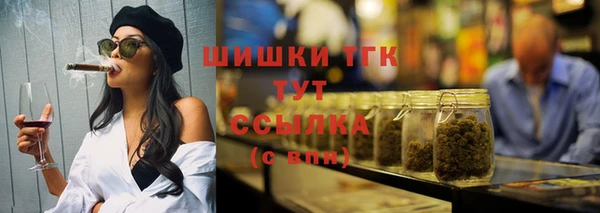 амф Горняк