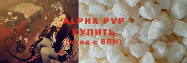 гашик Гусев