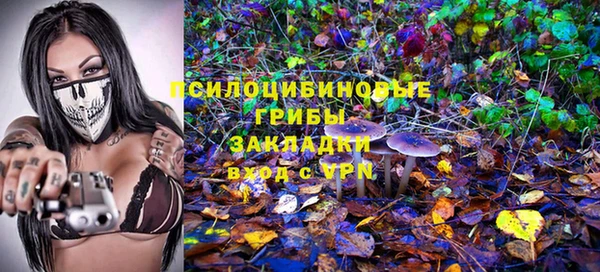 твердый Горно-Алтайск