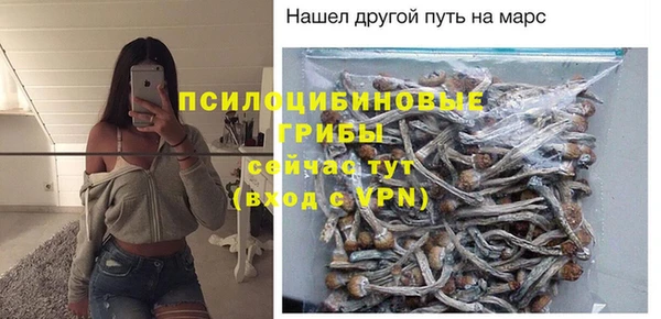 MDMA Горнозаводск