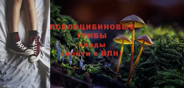 амф Горняк
