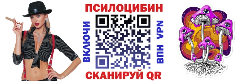 Купить где  Мичуринск  Галлюциногенные грибы Psilocybine cubensis 